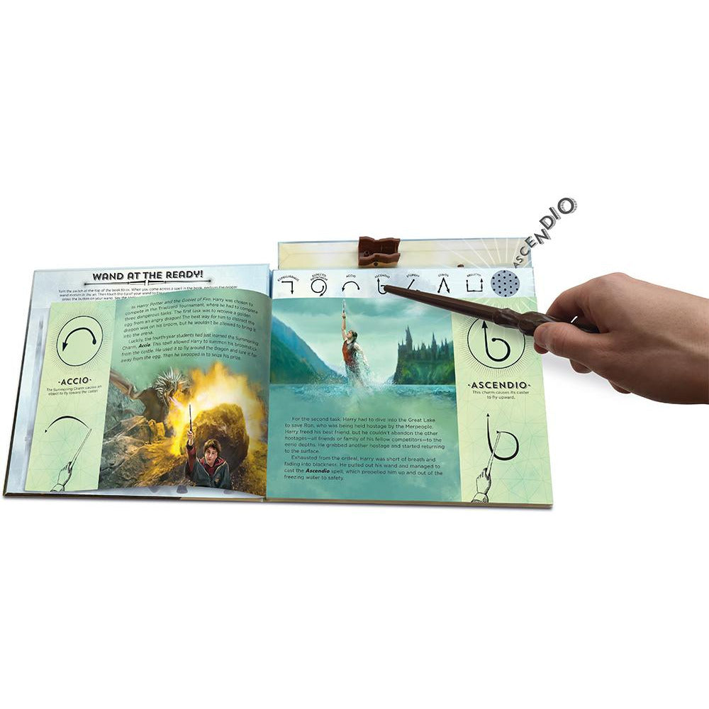 Wand Chooses the Wizard - (Harry Potter) by Christina Pulles (Paperback)